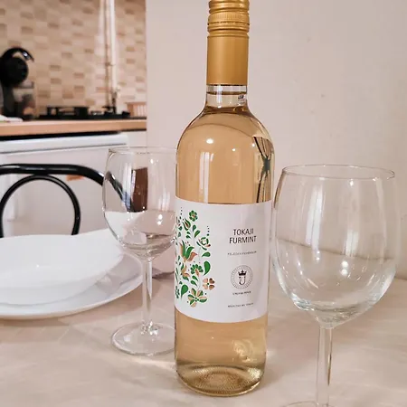 Tó Gunarasfürdő Apartamento